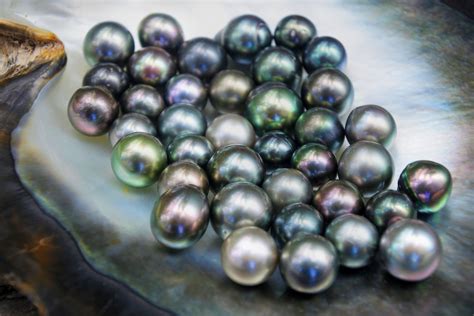 Black pearl indir